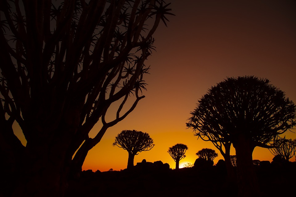 Bild von Namibia Sonnenuntergang