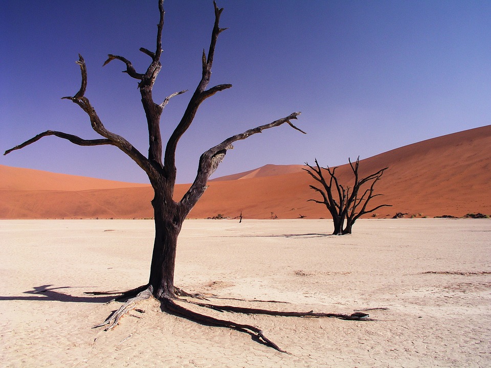 Bild von Namibia Wüstenlandschaft