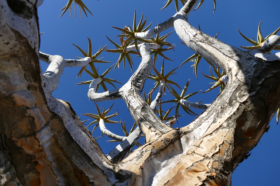 Bild von Namibia