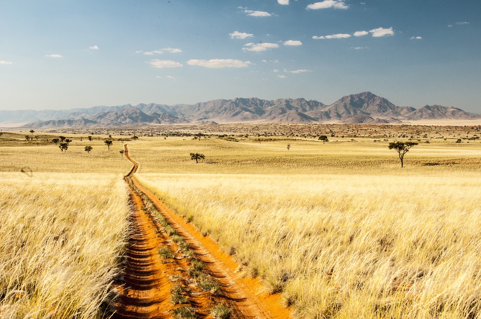 Bild von Namibia Landschaft Savanne